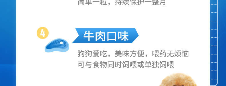 法国原装进口超可信犬用阿福拉纳米尔贝肟咀嚼片l号